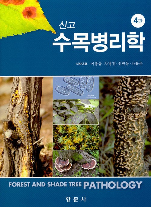 8b3da084-004c-4c76-a91b-575b4ddb2392.jpg