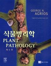 �Ĺ�������