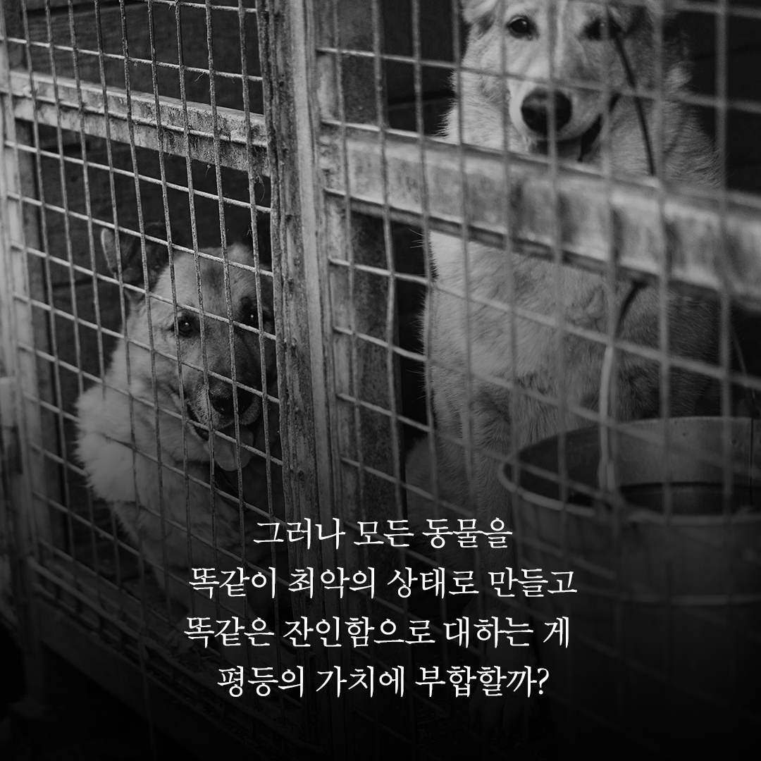 news_04.png