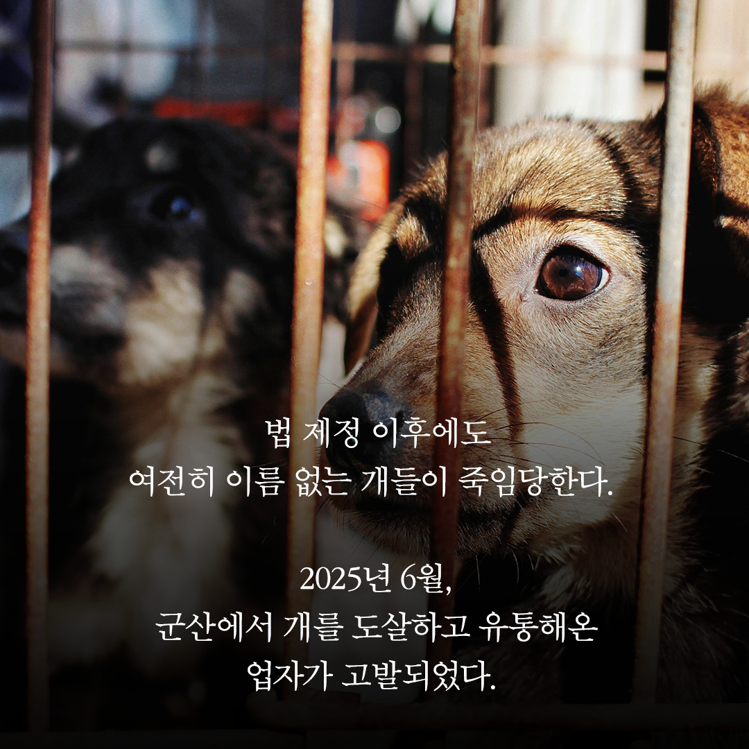news_05.png