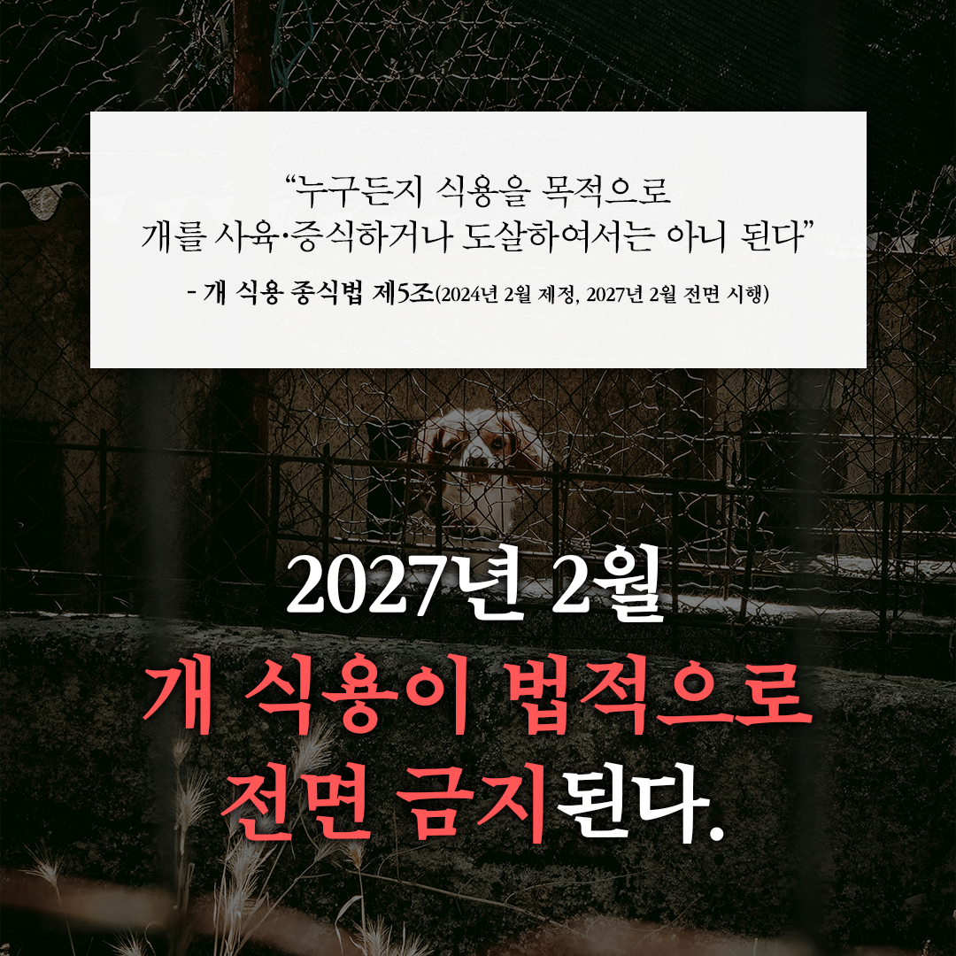 news_01.png