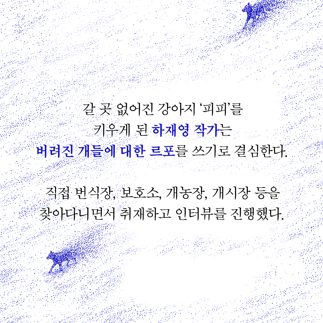 news_08.png