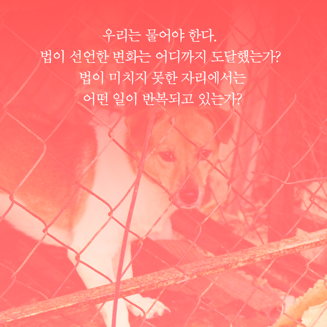 news_07.png