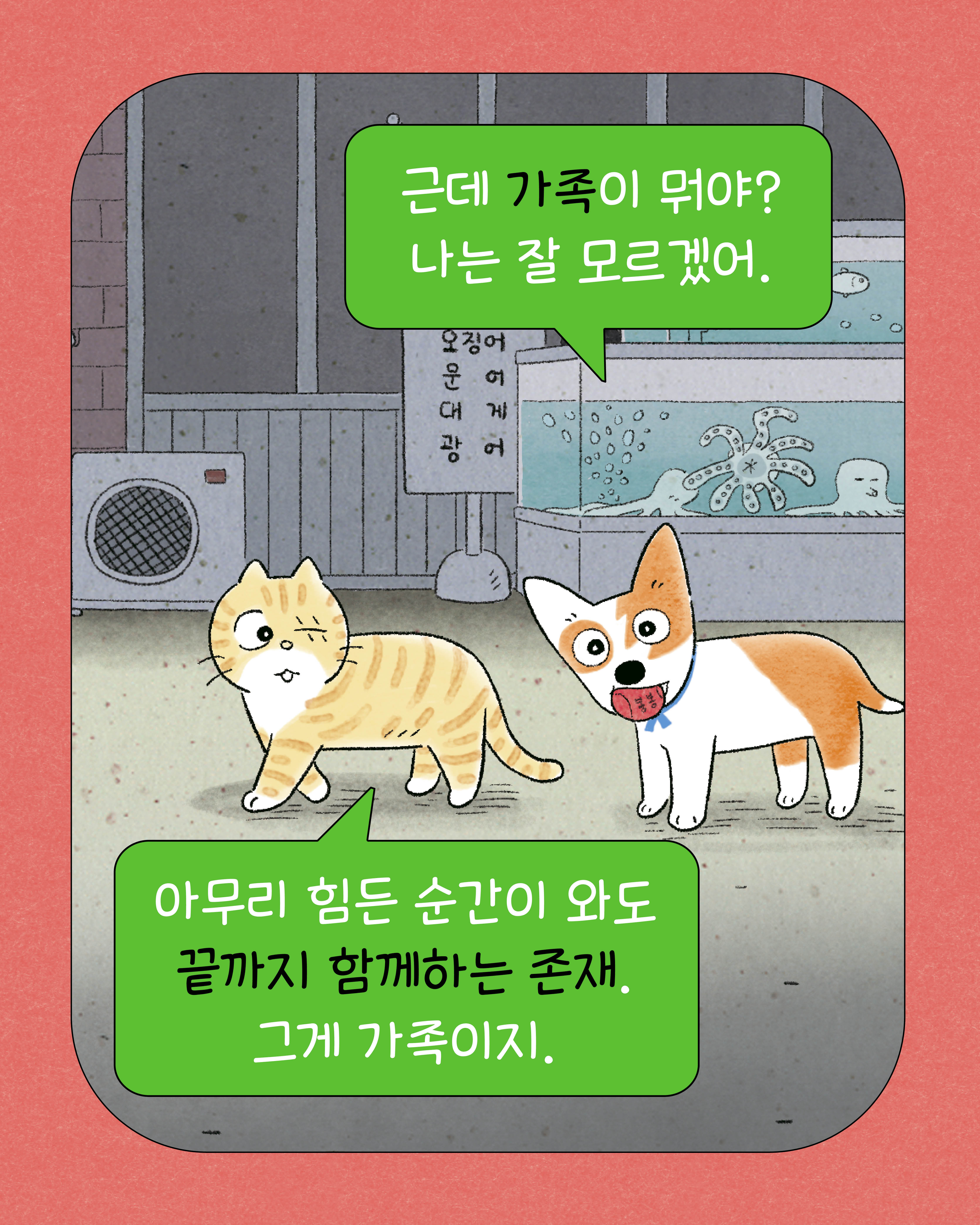 낭만강아지봉봉10-카드뉴스2.jpg