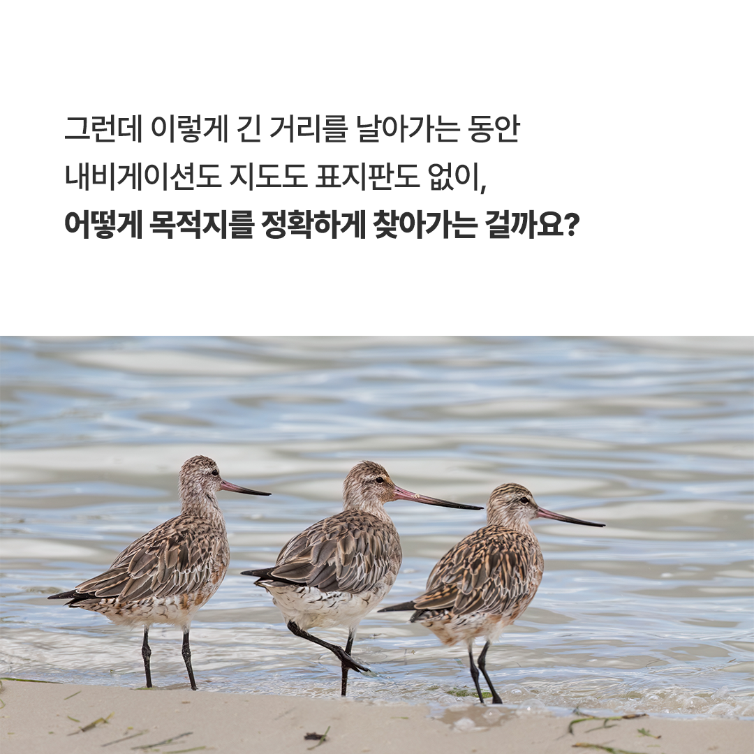 news_03.png