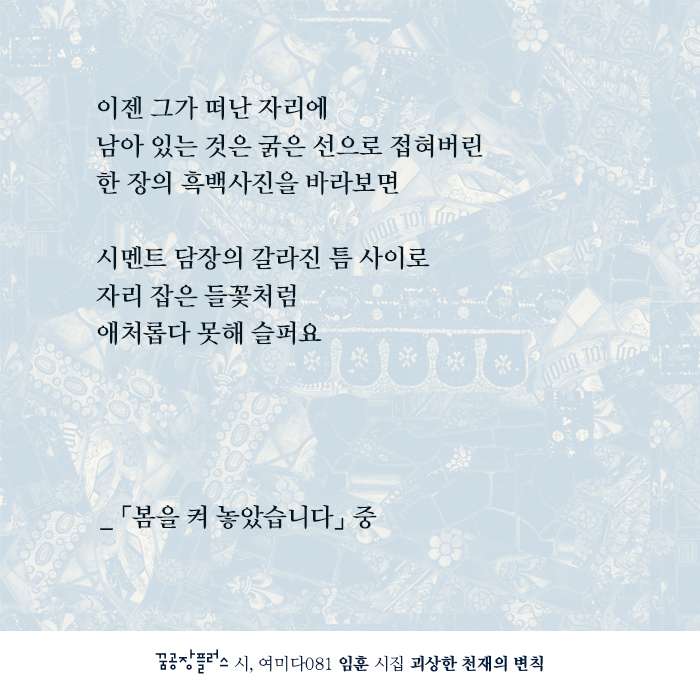 괴상한 천재의 변칙 2.jpg
