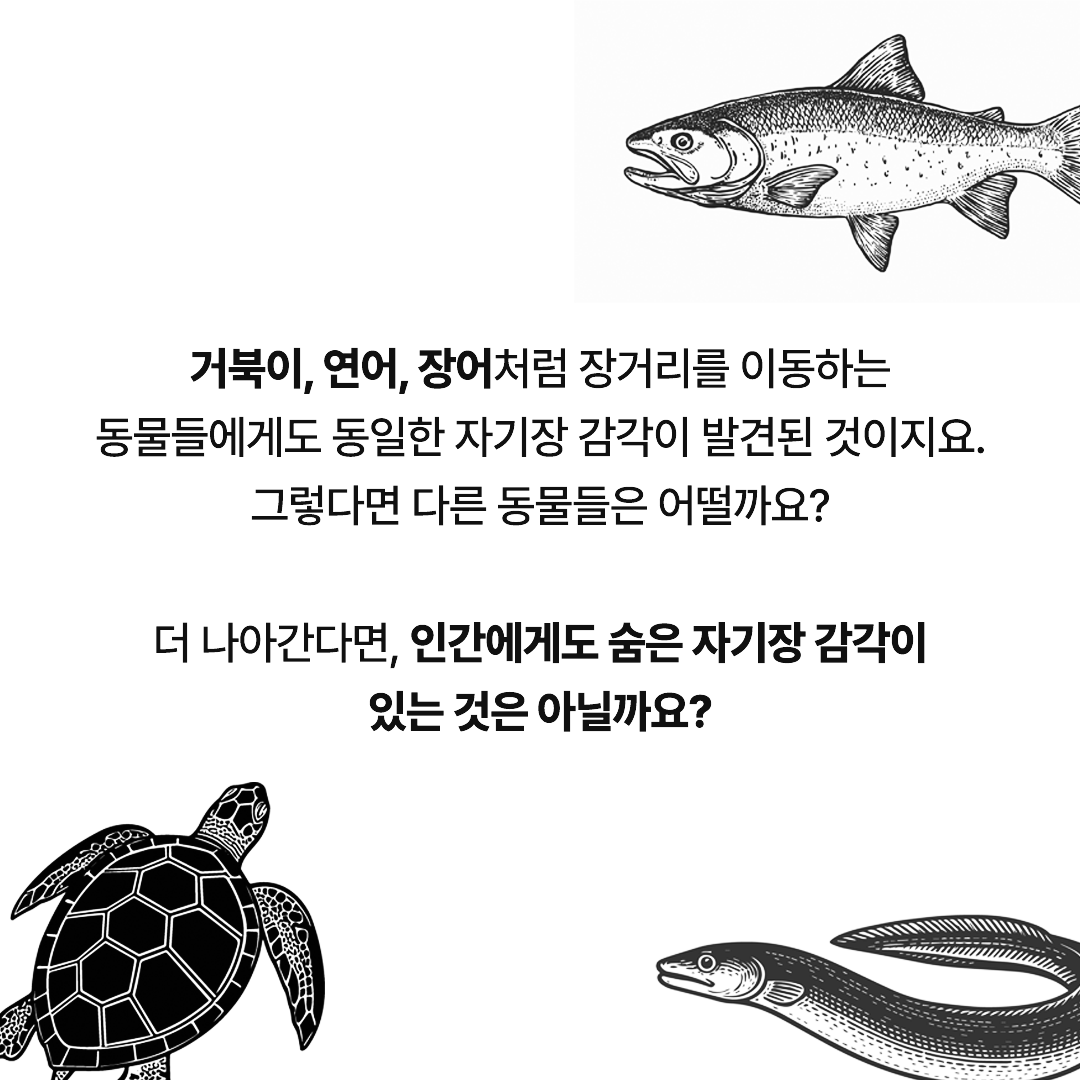 news_06.png