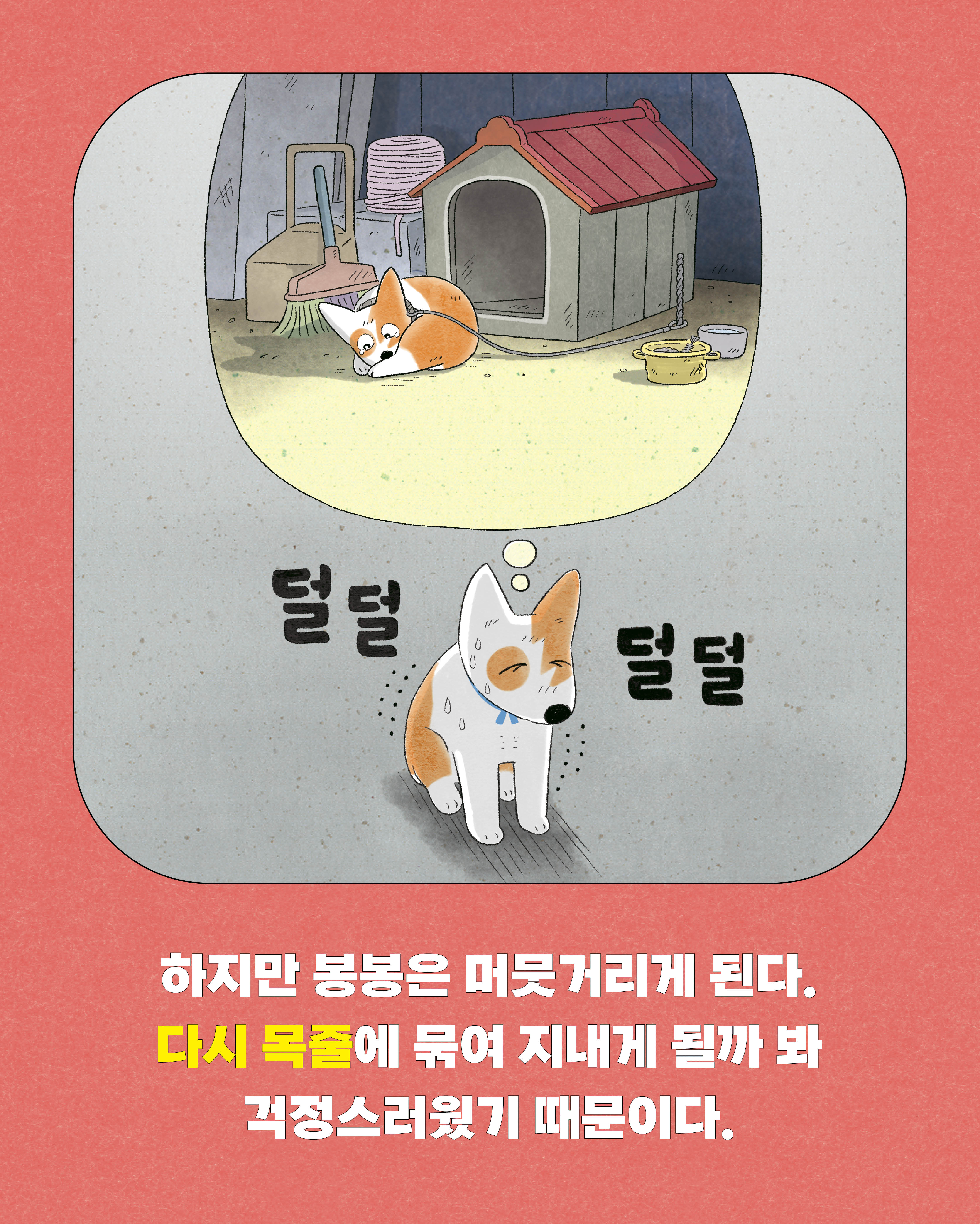 낭만강아지봉봉10-카드뉴스3.jpg