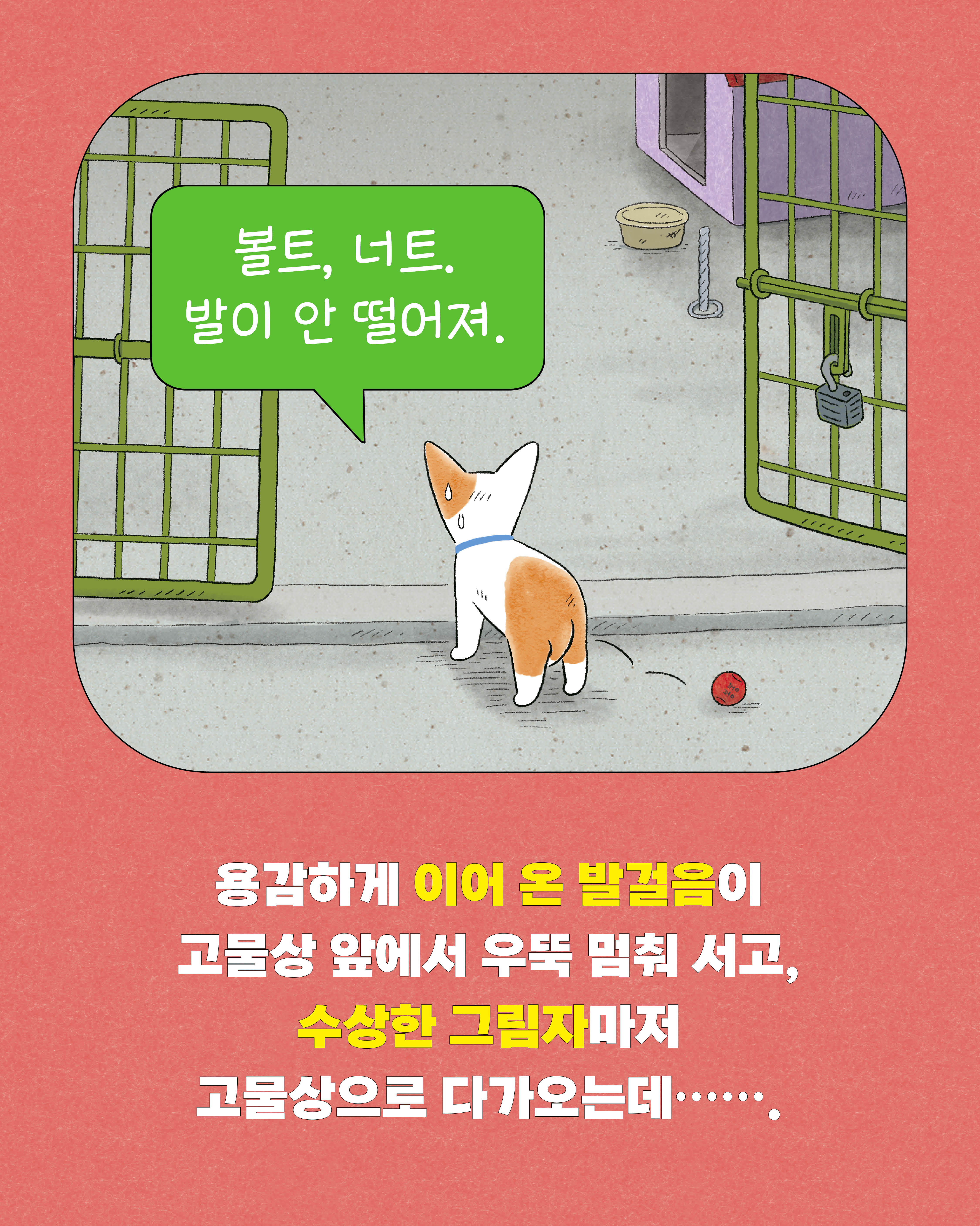 낭만강아지봉봉10-카드뉴스7.jpg