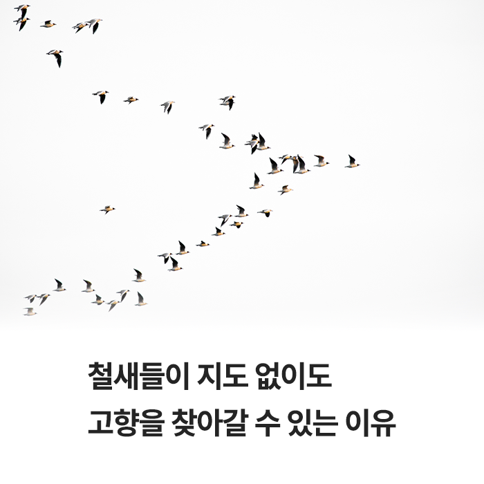news_01.png