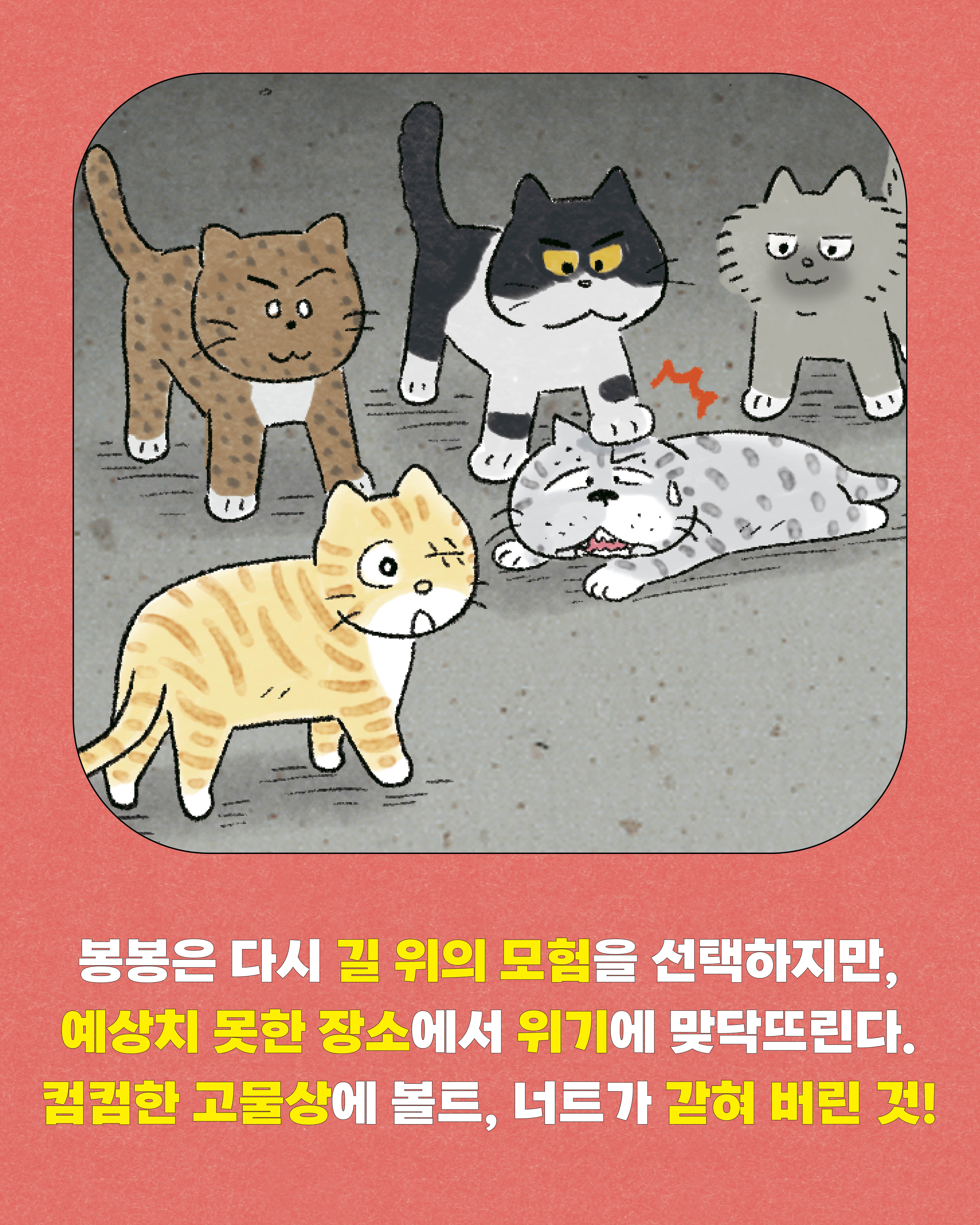 낭만강아지봉봉10-카드뉴스6.jpg