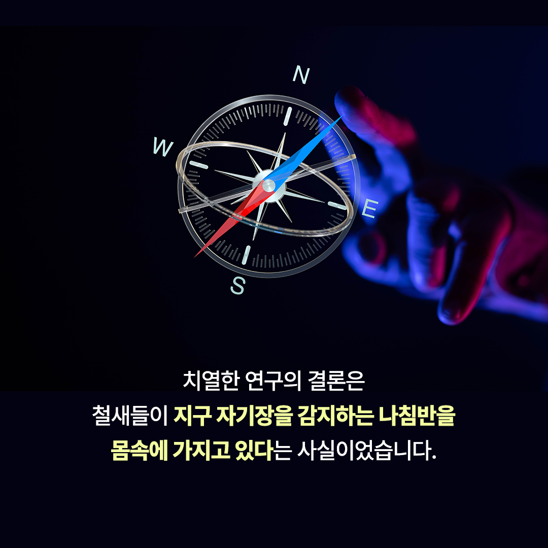 news_04.png