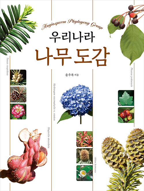 45acf9d3-227a-46dd-b7d3-5d83d03abcc2.jpg