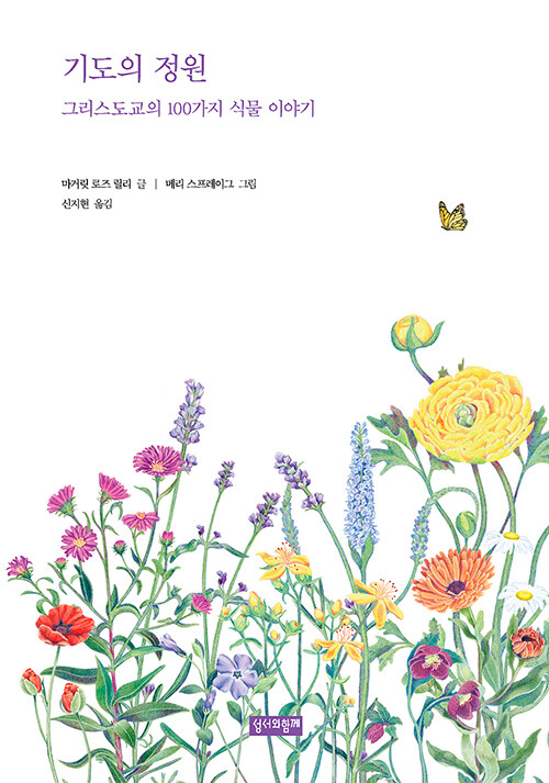 �⵵�� ����