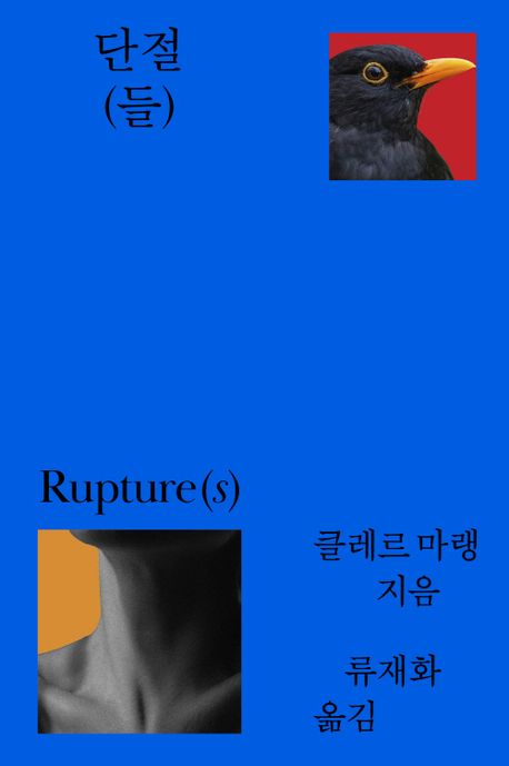 5bdf6a4b-3d53-4bfd-8ce4-98dbeb1b1227.jpg