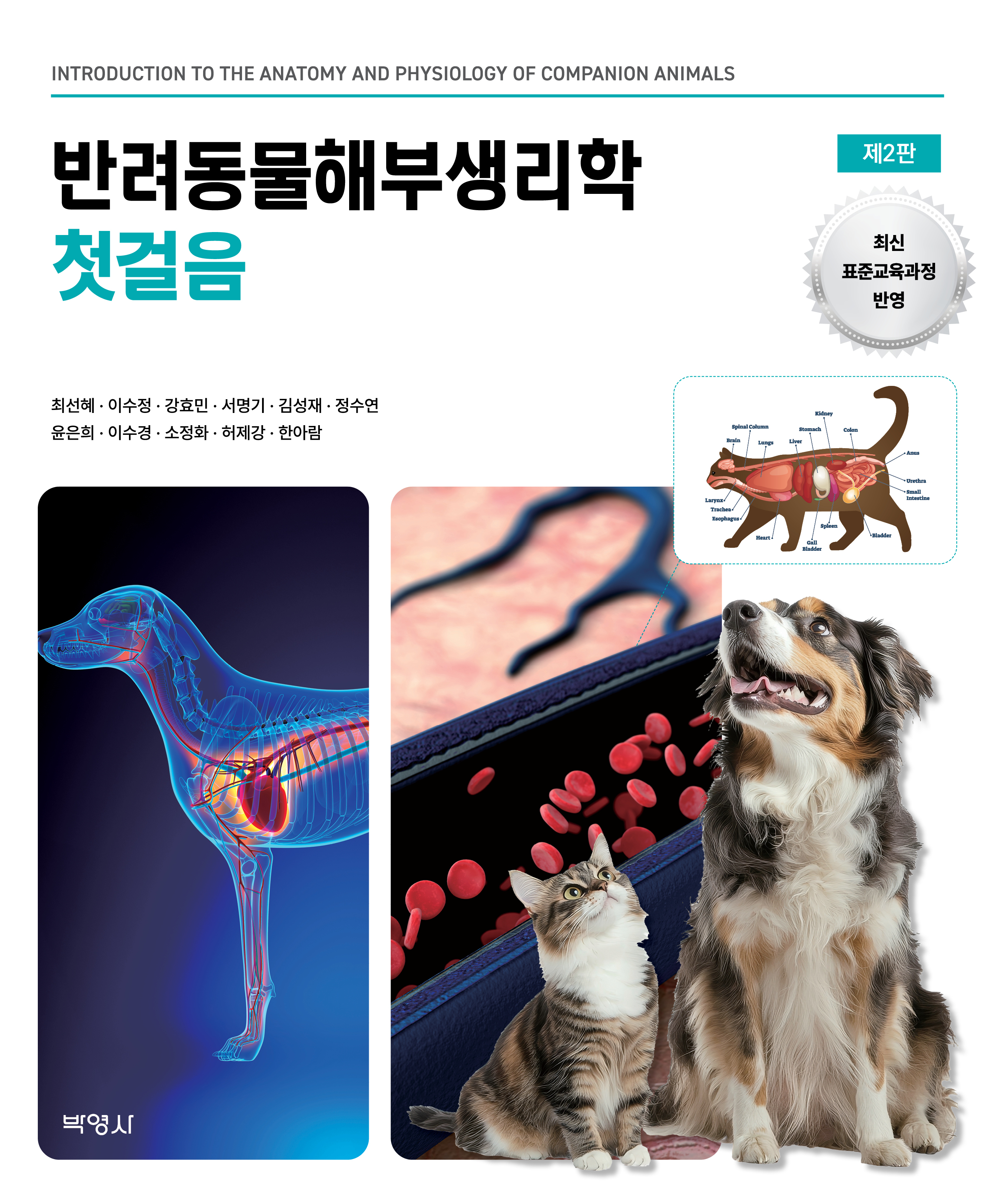 2158e673-b8bb-407c-b30b-ebad8271a3ba.jpg