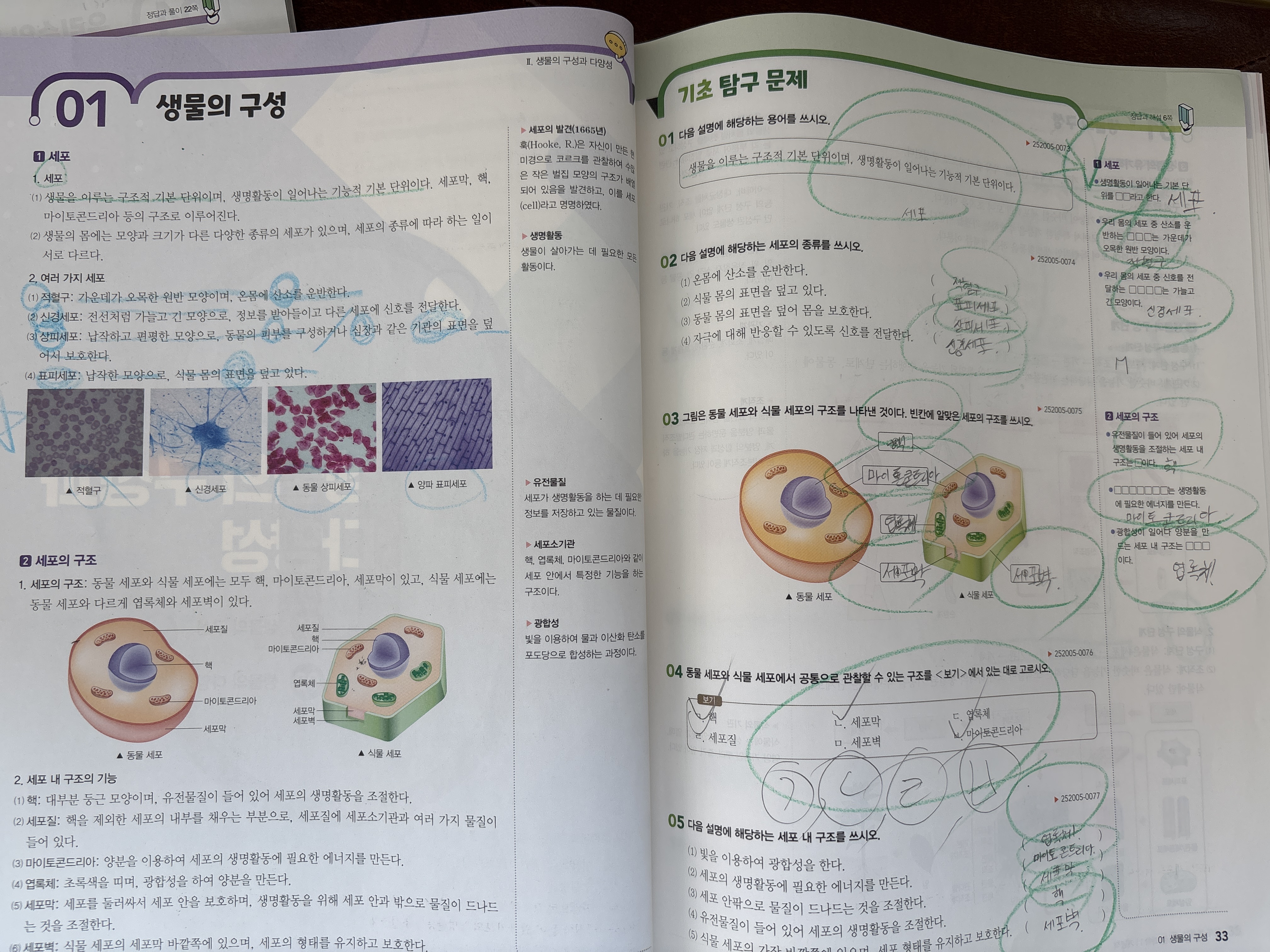 890af465-4aaf-42d0-be59-4b20f08058e2.jpg