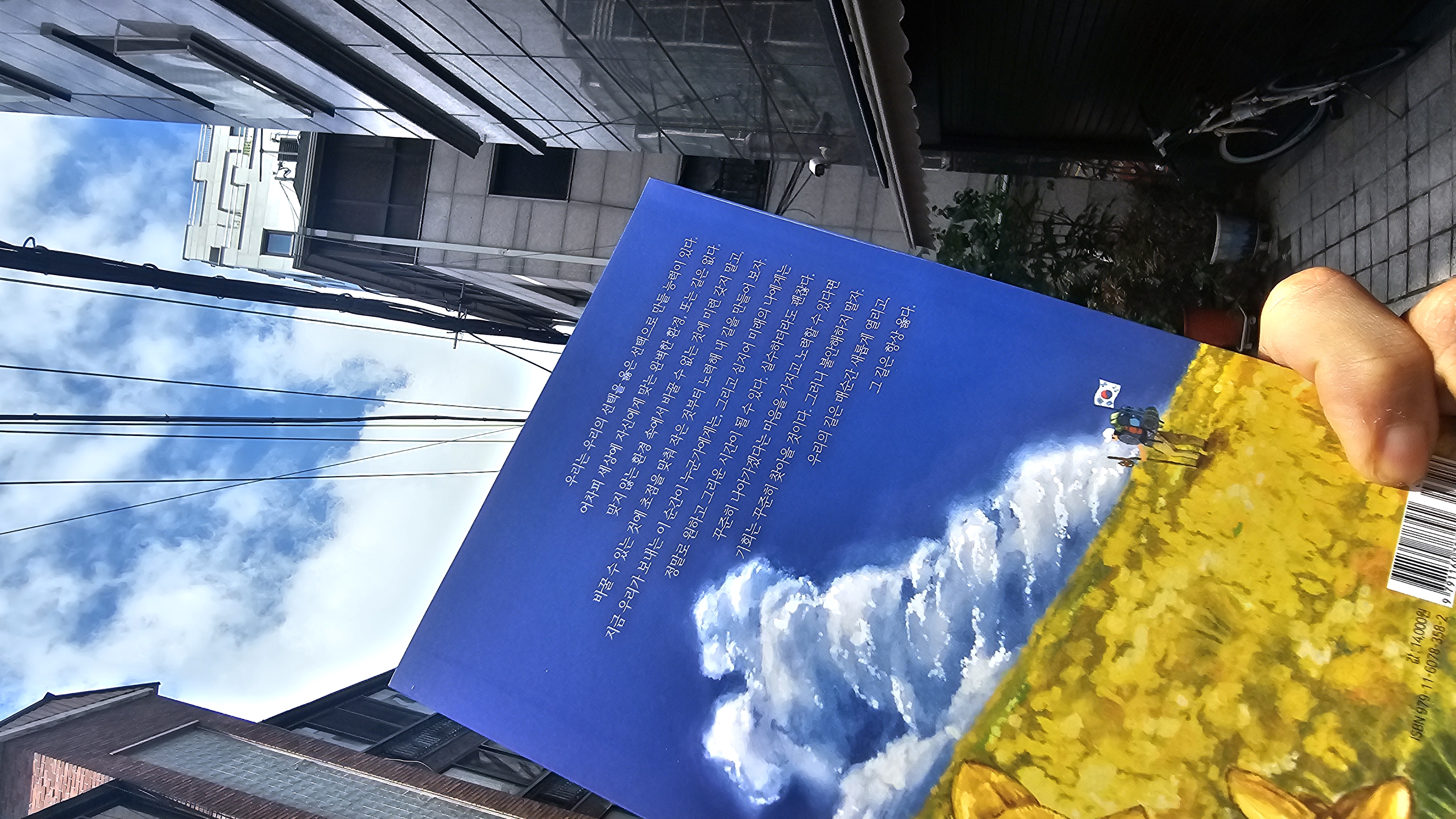 a5deb9d0-cd7b-4a02-a77e-17c9ab54f90a.jpg