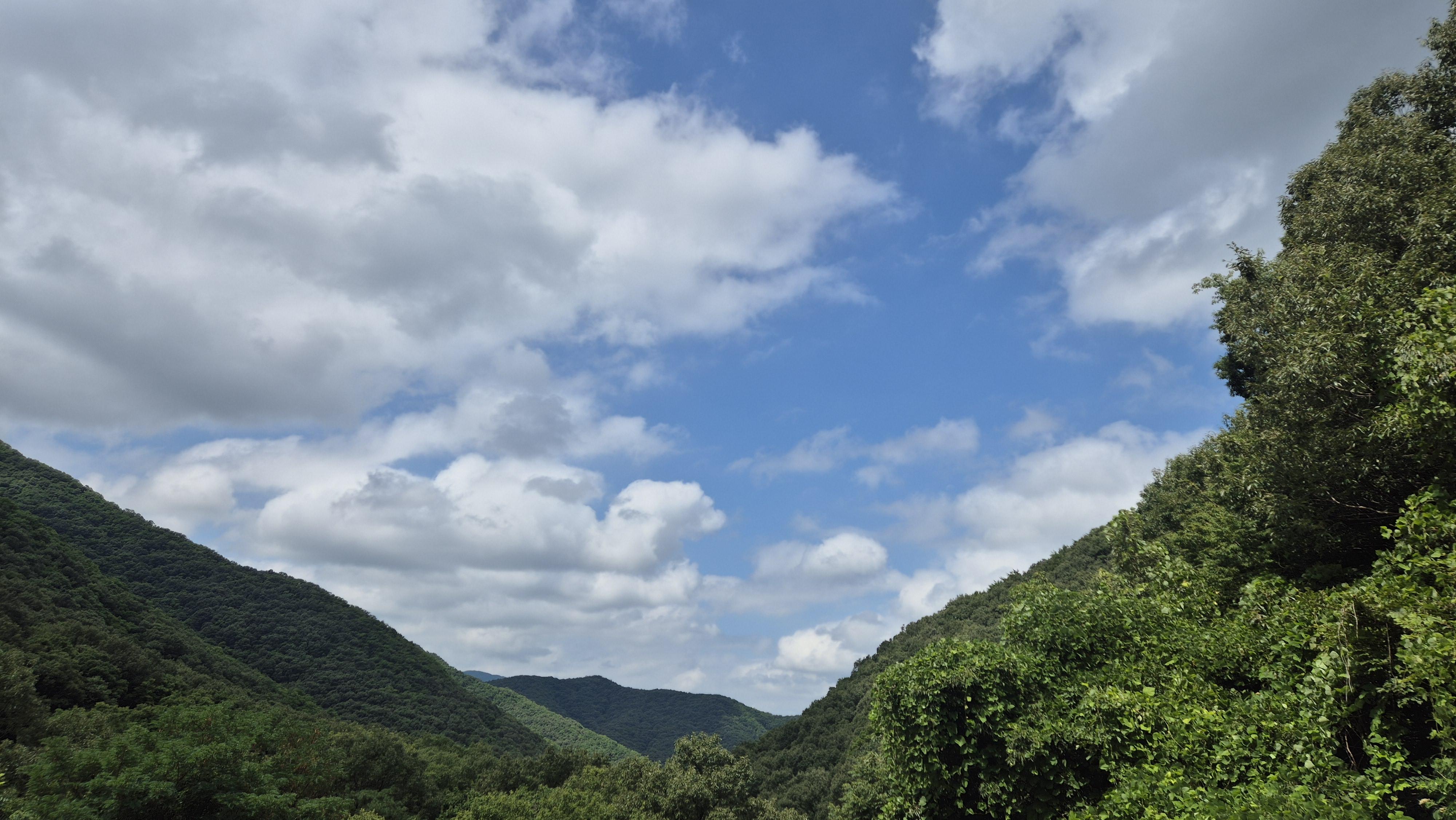 a793d302-b1b5-4ebc-a4d4-e04c6039f346.jpg